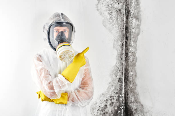 Asbestos and Lead Testing During Mold Inspection in Strongsville, OH